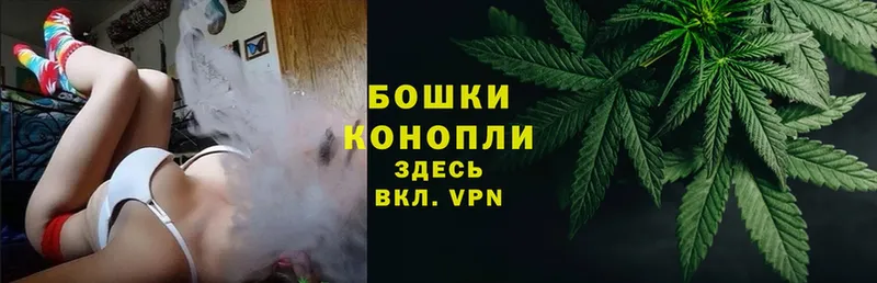 МЕГА tor  дарнет шоп  Бородино  Бошки марихуана SATIVA & INDICA 